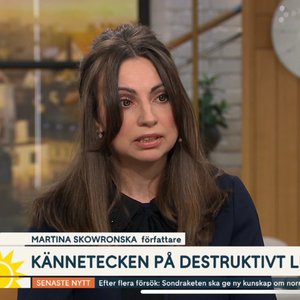 TV4 Nyhetsmorgon: "Så hanterar du en destruktiv chef"